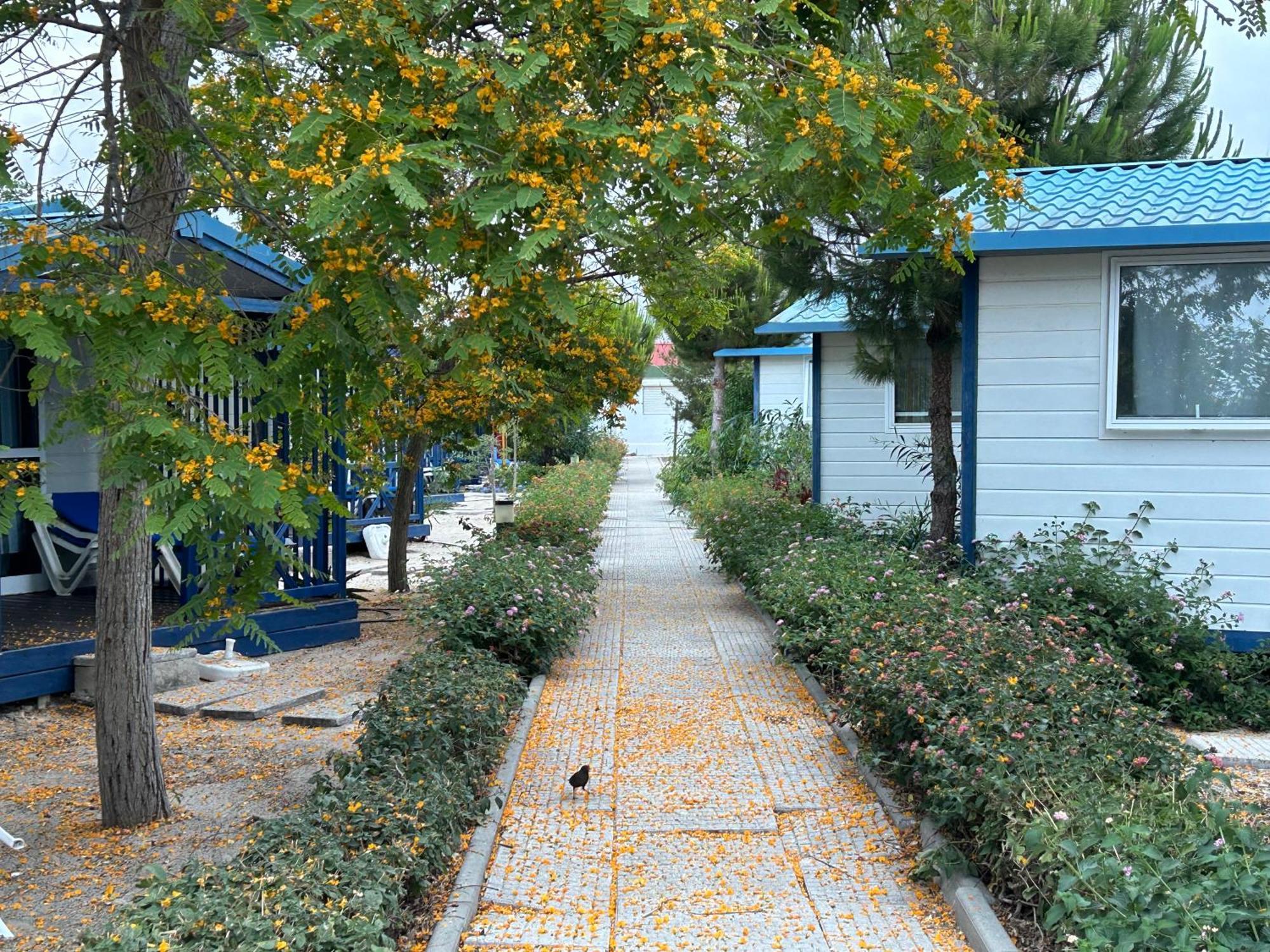 Orbitur Ilha De Armona Villa Olhao Bagian luar foto